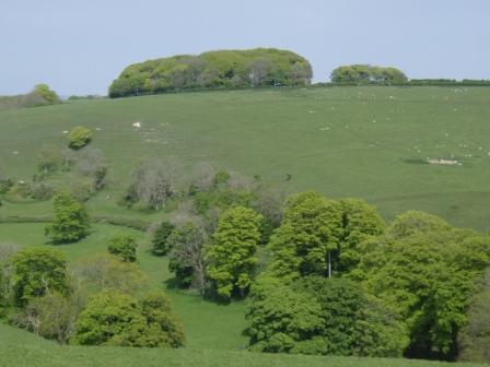 Basket Hill is north from Abbotsbury, the heart of the Dorset countryside